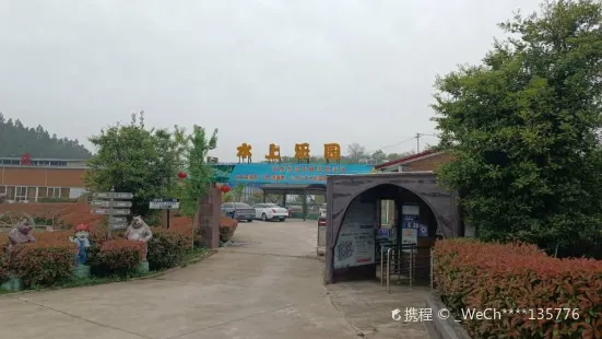 龍悦水上樂園