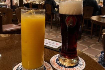 New Munchen Kobe Taishikan