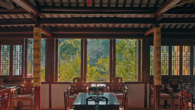 Suzhou Tea Tasting