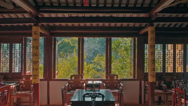 Tea Tasting in Suzhou