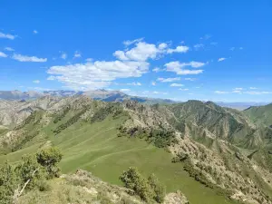 Dulan County Flower Sea Scenic Area