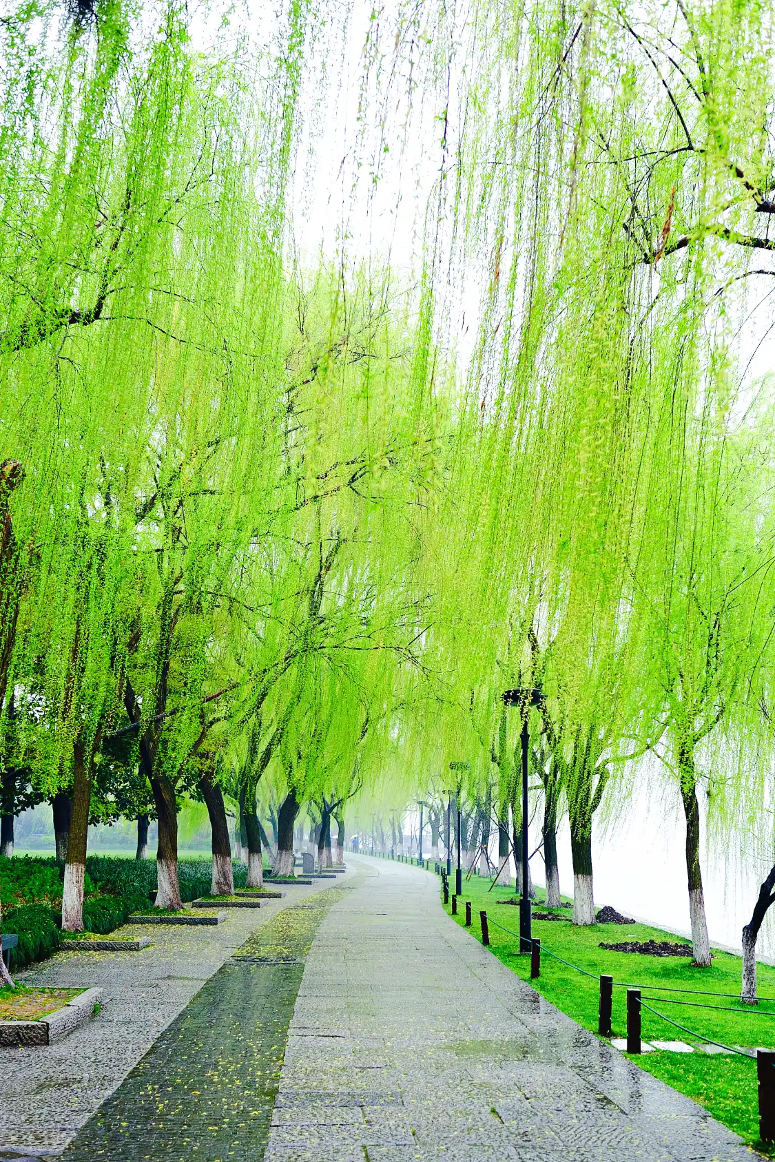 Hotels near Yining City Seascape Park