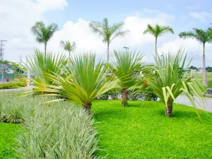 Parque Madureira