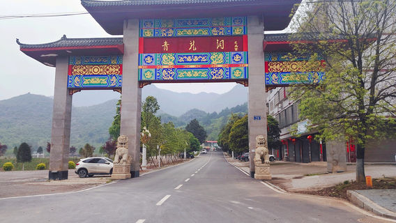 Song Bài