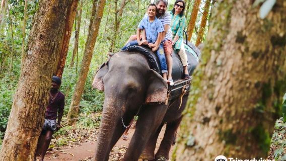 Carmelagiri Elephant Park