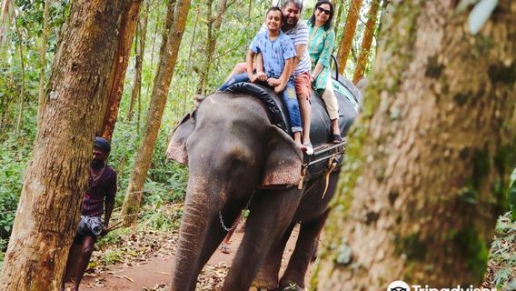 Carmelagiri Elephant Park