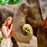 Elephant Jungle Sanctuary Samui