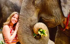 ปางช้างเอเลเฟ่น จังเกิล แซงชัวรี