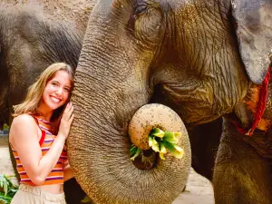 Elephant Jungle Sanctuary Samui