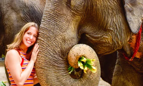 Elephant Jungle Sanctuary Samui