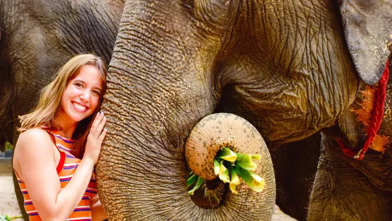 Elephant Jungle Sanctuary Samui