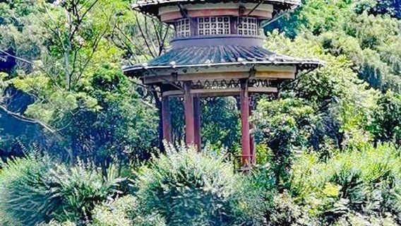 Qujing