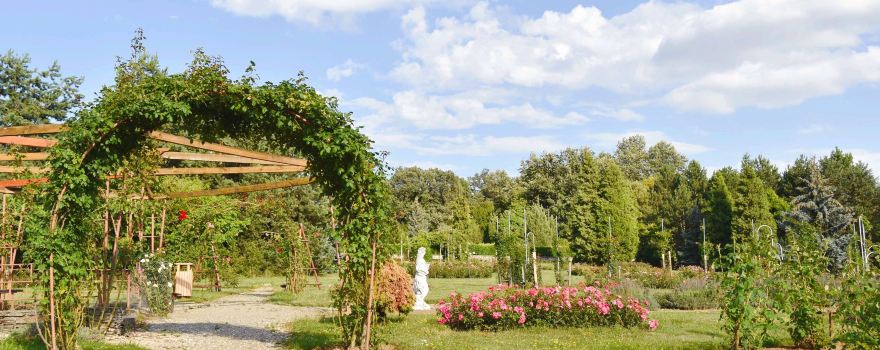 Arboretum Mlynany SAV