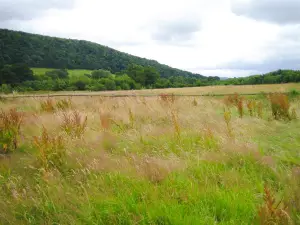Carding Mill Valley and the Long Mynd