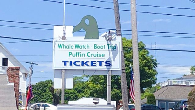 Cap'n Fish's Cruises