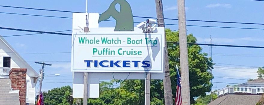 Cap'n Fish's Cruises