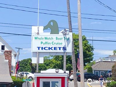 Cap'n Fish's Cruises