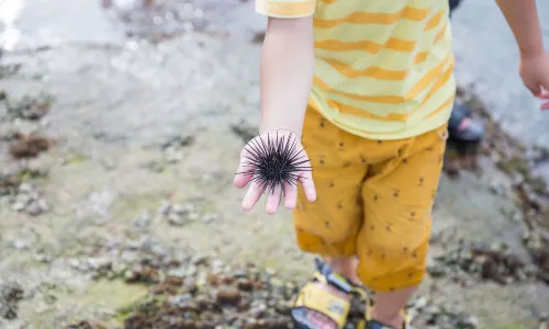 Clam Digging in Lingshui