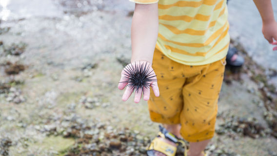 Beachcombing in Lingshui