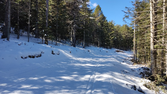Estacio d'esqui Sant Joan de L'erm