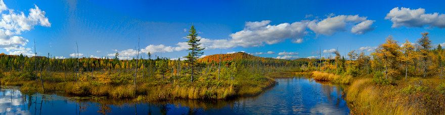 Barnum Pond