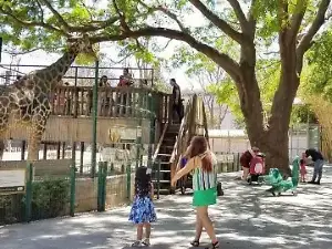 Zoológico de Culiacán