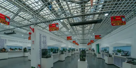 新疆活體昆蟲博物館門票成人