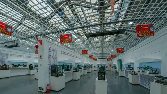 Xinjiang Living Insect Museum