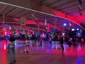 Route 61 Roller Dome