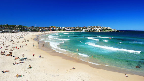 Beach Sunbathing in Sydney