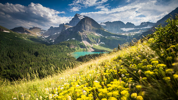 West Glacier