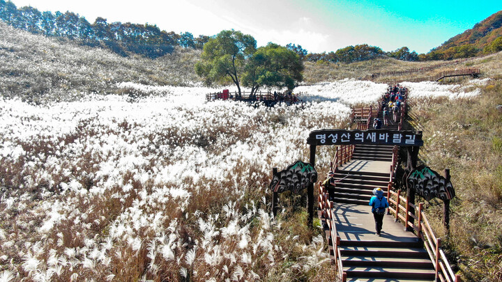 포천 산정호수 명성산 억새꽃축제 | 포천