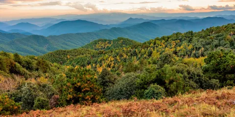 雞足山