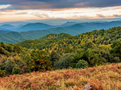 雞足山