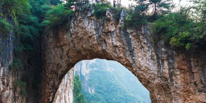 Goose House Natural Bridge