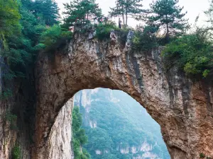Goose House Natural Bridge