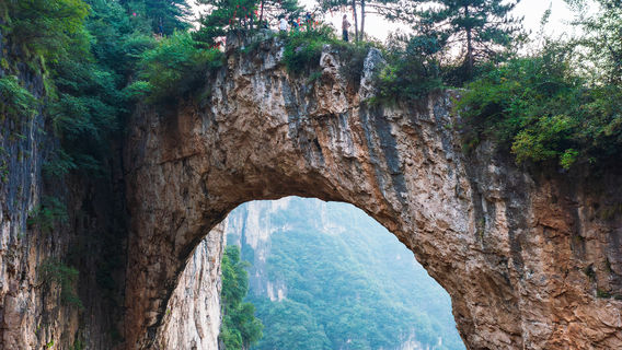 Goose House Natural Bridge