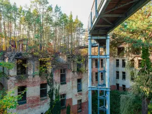 Baumkronenpfad Beelitz Tree & Time