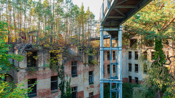 Baumkronenpfad Beelitz Tree & Time