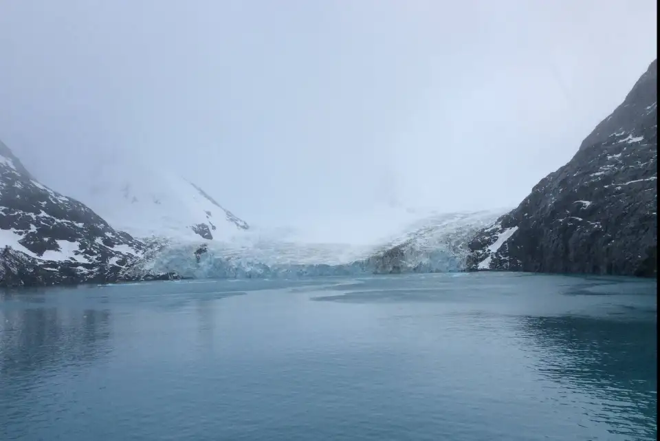 Wilhelmina Bay