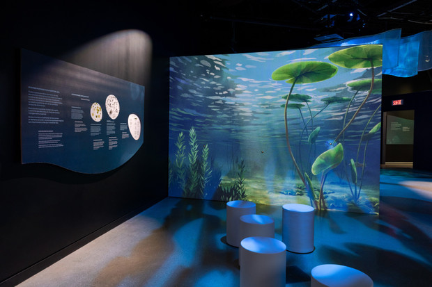 Amazing! A journey along the water | The Biosphere, Environment Museum
