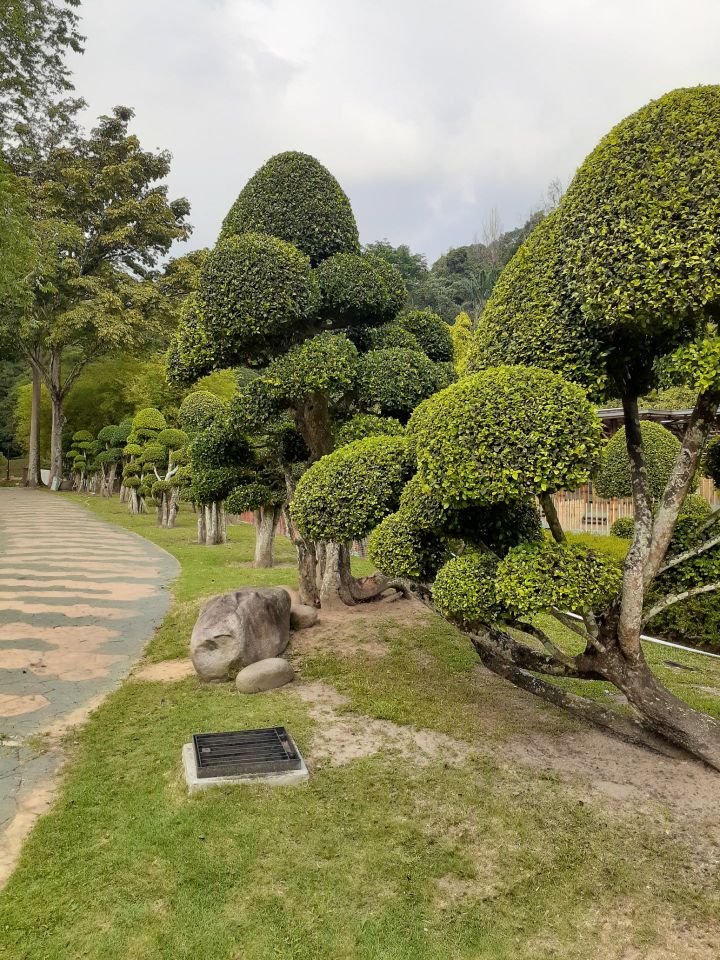 クアラルンプール ペルダナ植物園 評判 案内 トリップドットコム クアラルンプール ペルダナ植物園 評判 案内 トリップドットコム