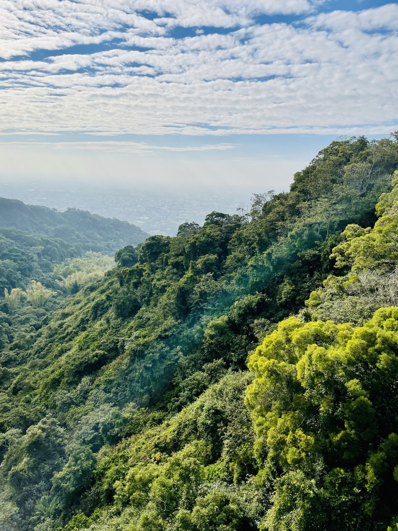 武陵農場用戶評價