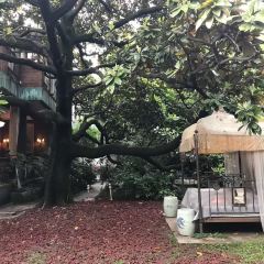 YongFoo Élite User Photo