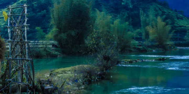 開化根宮佛國文化旅遊區-青梅園