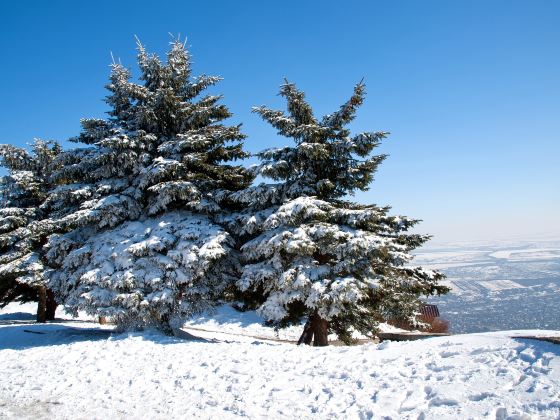 西嶺雪山