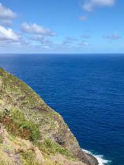 Waimano Valley / Ridge Trail Head