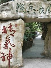 Cactus, Budhha and Dragon Culture Park, Zhongshan