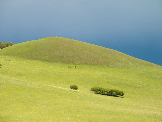 南山牧場