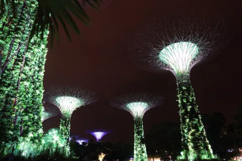 Garden Rhapsody